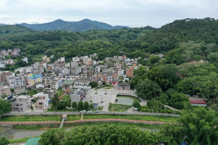 特色文旅品牌产品⑨ | 郁南县桂圩镇龙岗文旅特色村