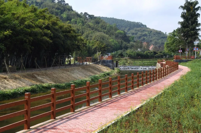 特色文旅品牌产品⑨ | 郁南县桂圩镇龙岗文旅特色村