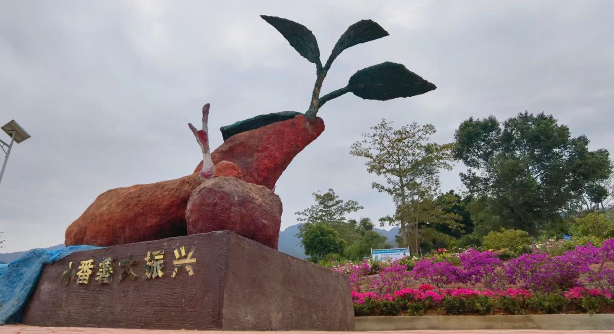 图片12.png